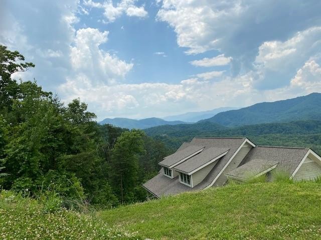 83 Redtail Road Sevierville, TN 37862 - Photo 6 of 8 Gallery Image 6