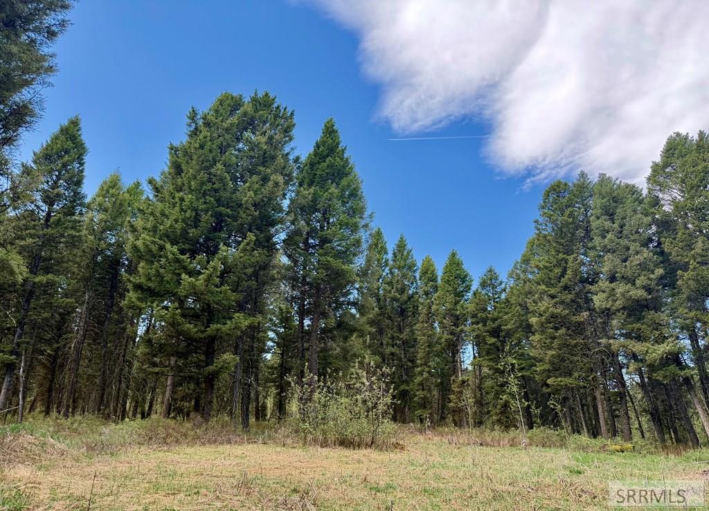 5611 2 Lazy 2 Road Island Park, ID 83429 - Photo 42 of 55