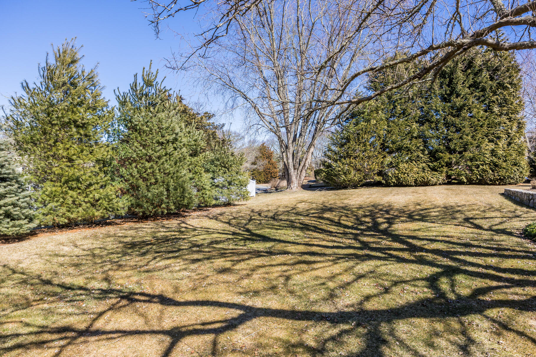 30 Beach Road Orleans, MA 02653 - Photo 62 of 76 9L4A7817