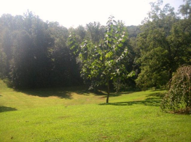 800 Evelyn Road Beattyville, KY 41311 - Photo 8 of 16 Photo 8