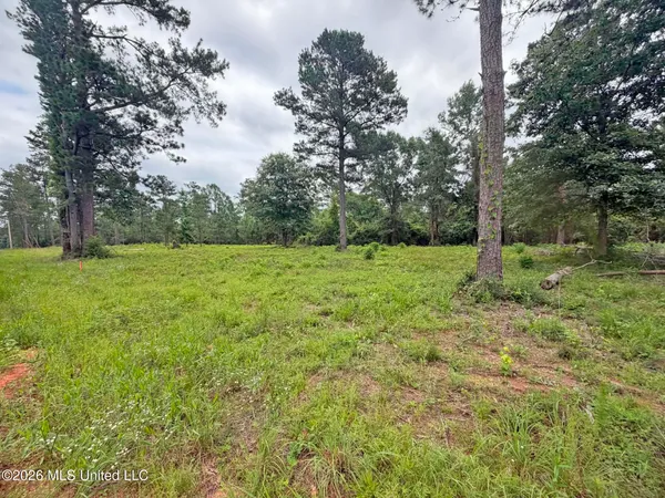 $65,000 | 63 North N Highway, Lucedale, MS 39452