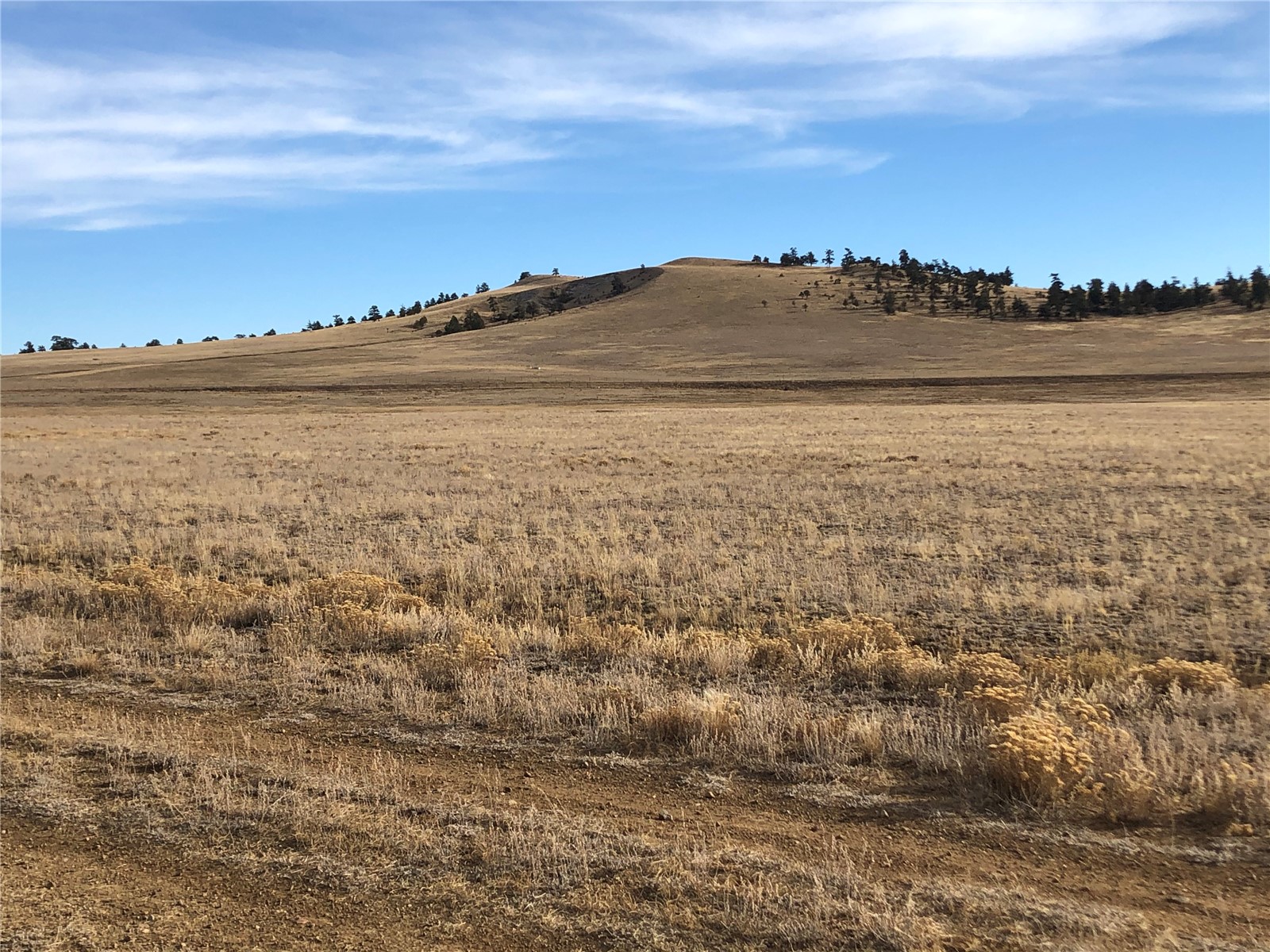 1189 Fairview Road Hartsel, CO 80449 - Photo 8 of 13 Gallery Image 8