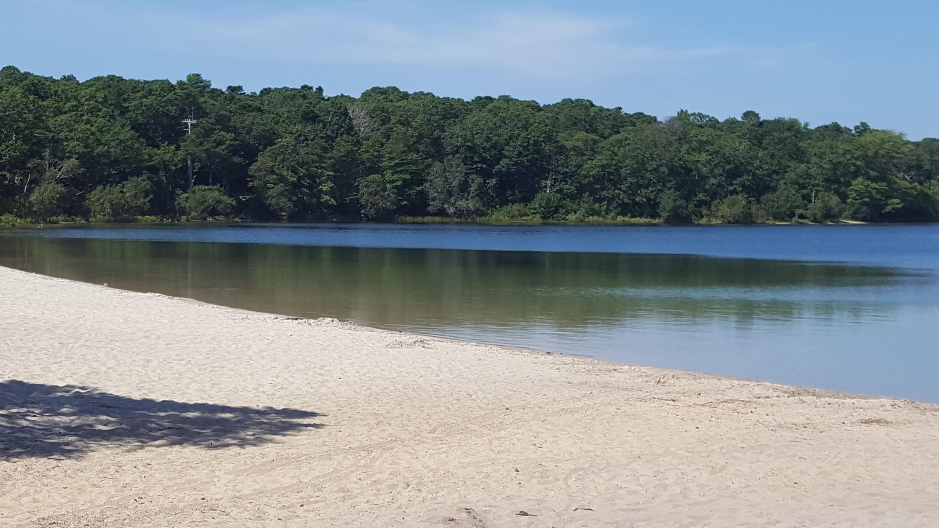 9 Pebble Path Forestdale, MA 02644 - Photo 21 of 21 a view of a lake