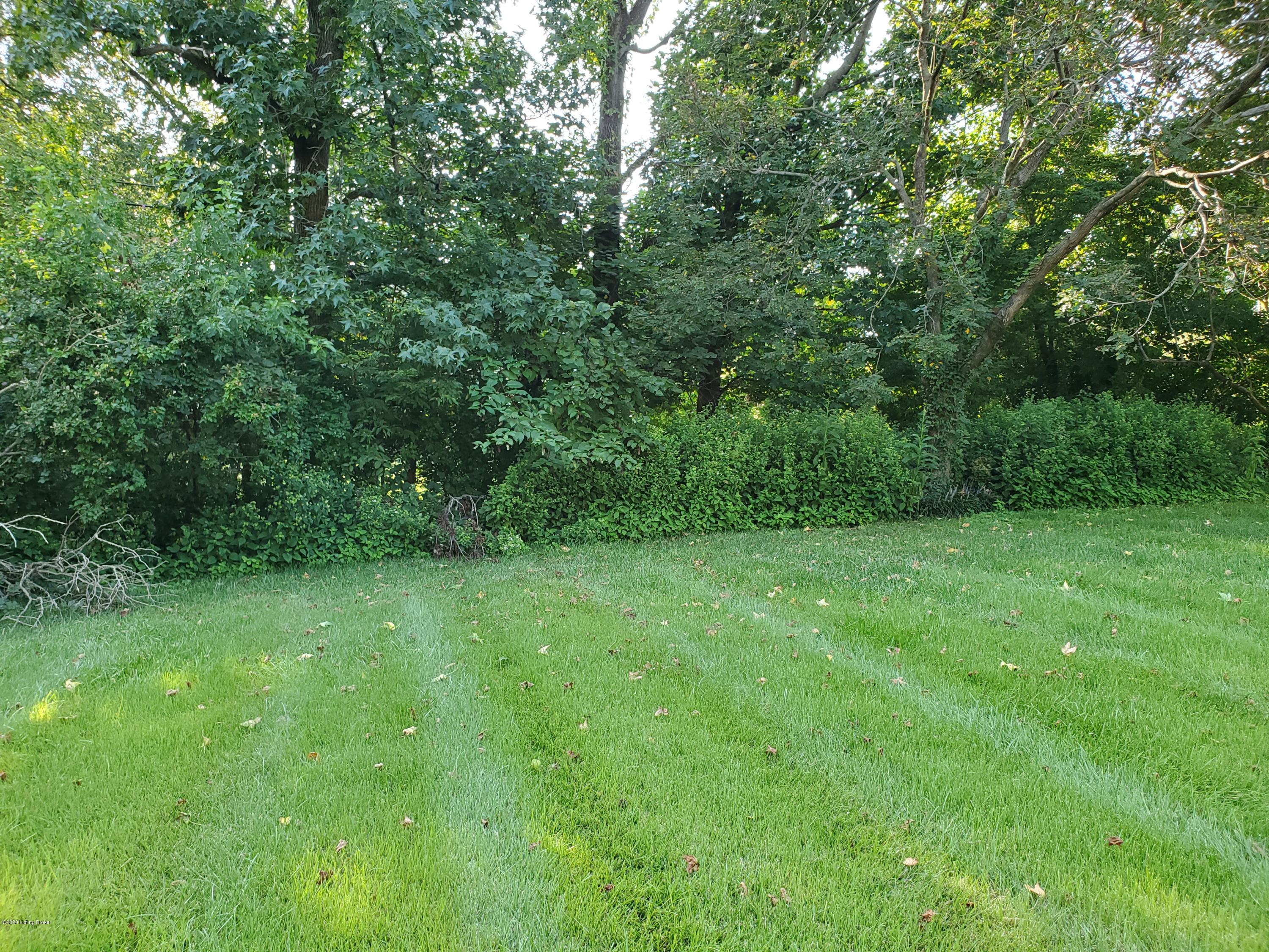 302 Old Farm Road Louisville, KY 40207 - Photo 5 of 33 302oldfarm15