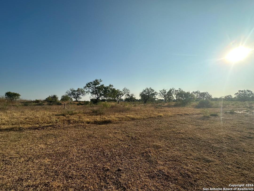 13531 Adkins-St Hedwig Road St. Hedwig, TX 78152 - Photo 11 of 31