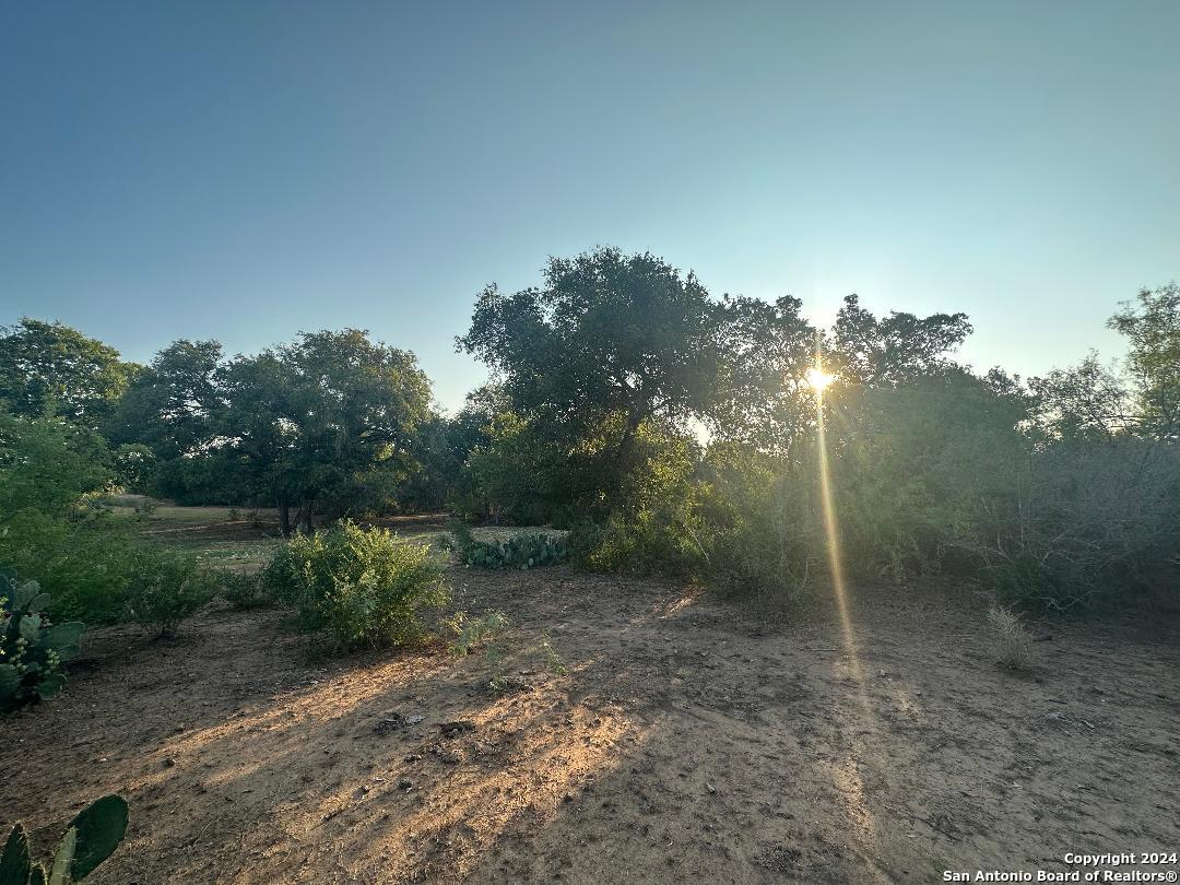 13531 Adkins-St Hedwig Road St. Hedwig, TX 78152 - Photo 13 of 31