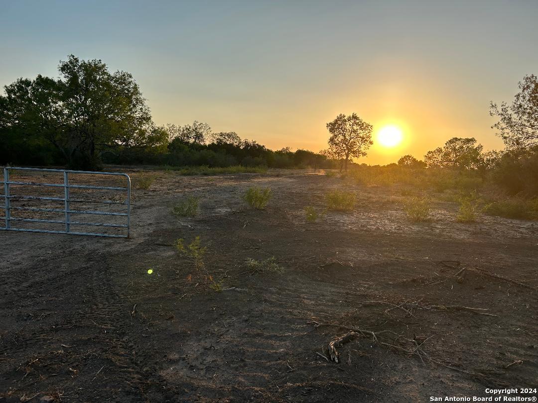 13531 Adkins-St Hedwig Road St. Hedwig, TX 78152 - Photo 15 of 31