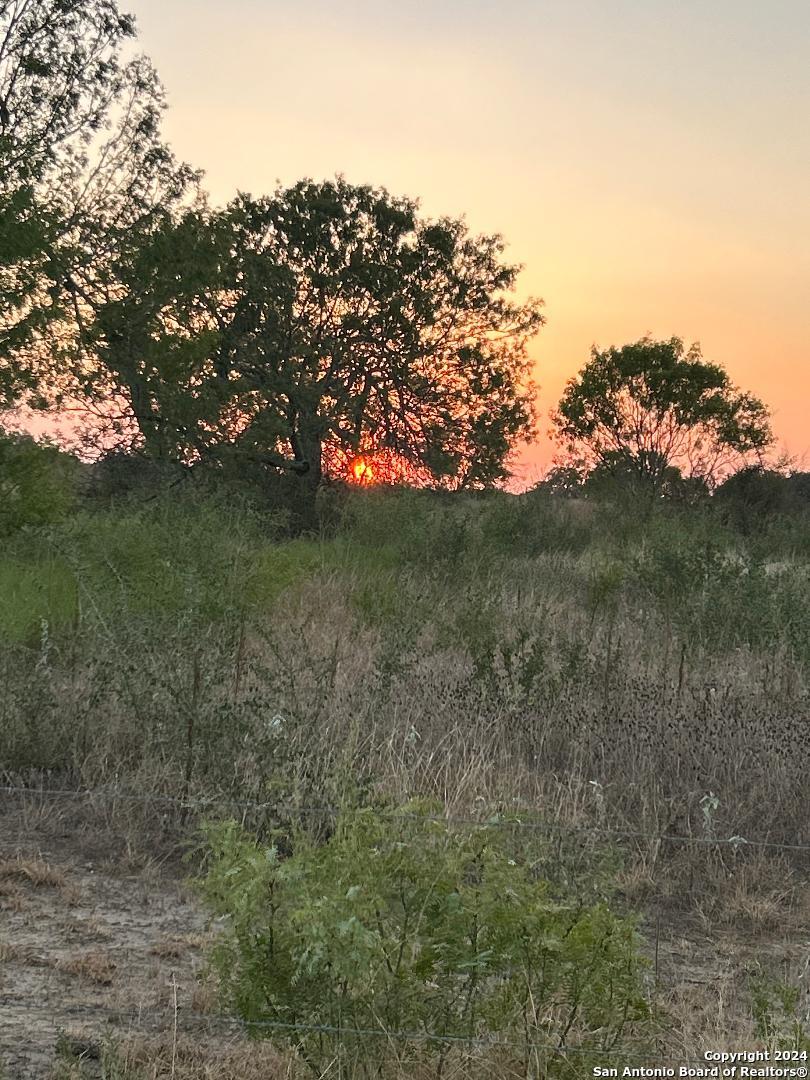 13531 Adkins-St Hedwig Road St. Hedwig, TX 78152 - Photo 17 of 31