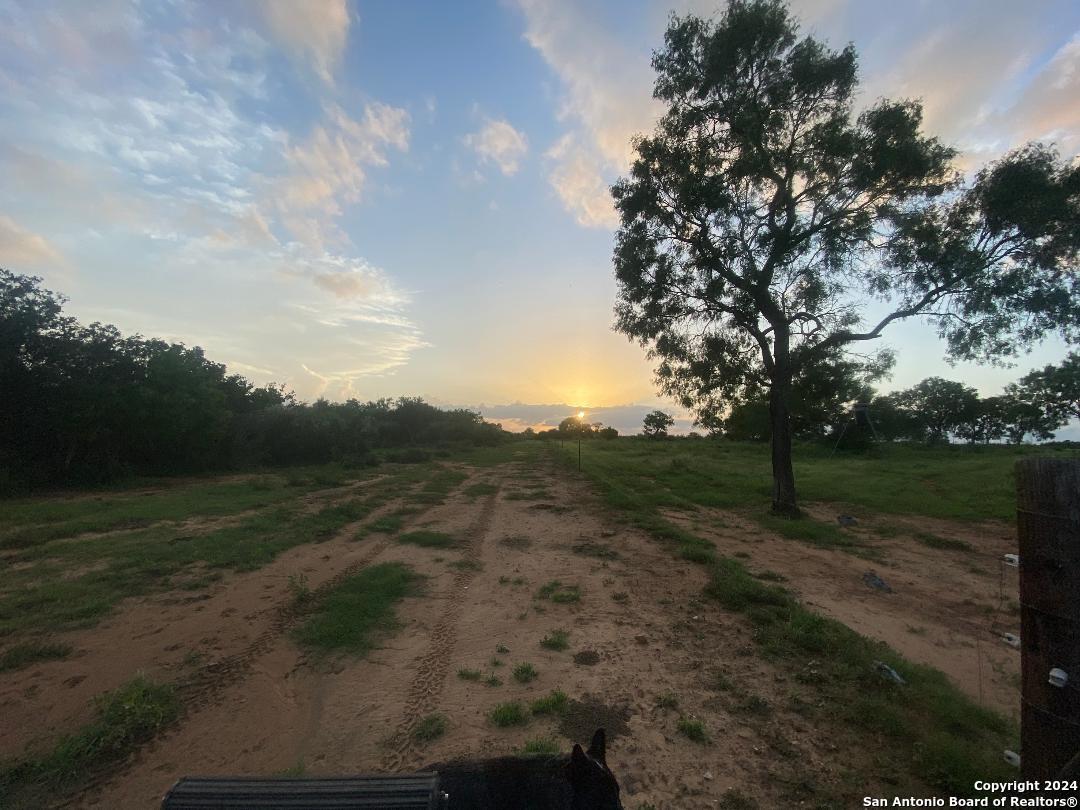 13531 Adkins-St Hedwig Road St. Hedwig, TX 78152 - Photo 18 of 31