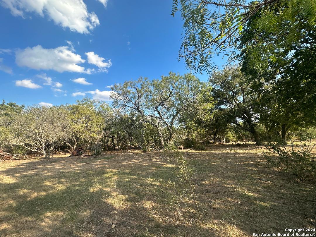 13531 Adkins-St Hedwig Road St. Hedwig, TX 78152 - Photo 19 of 31