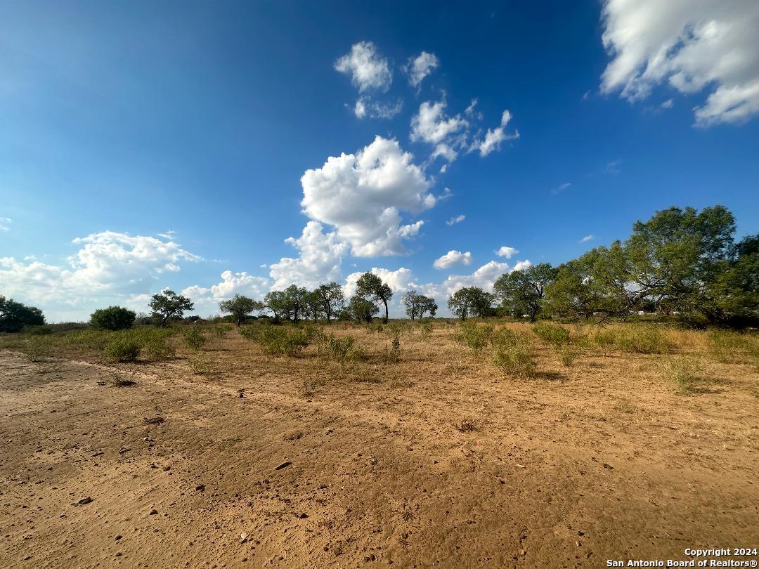 13531 Adkins-St Hedwig Road St. Hedwig, TX 78152 - Photo 23 of 31