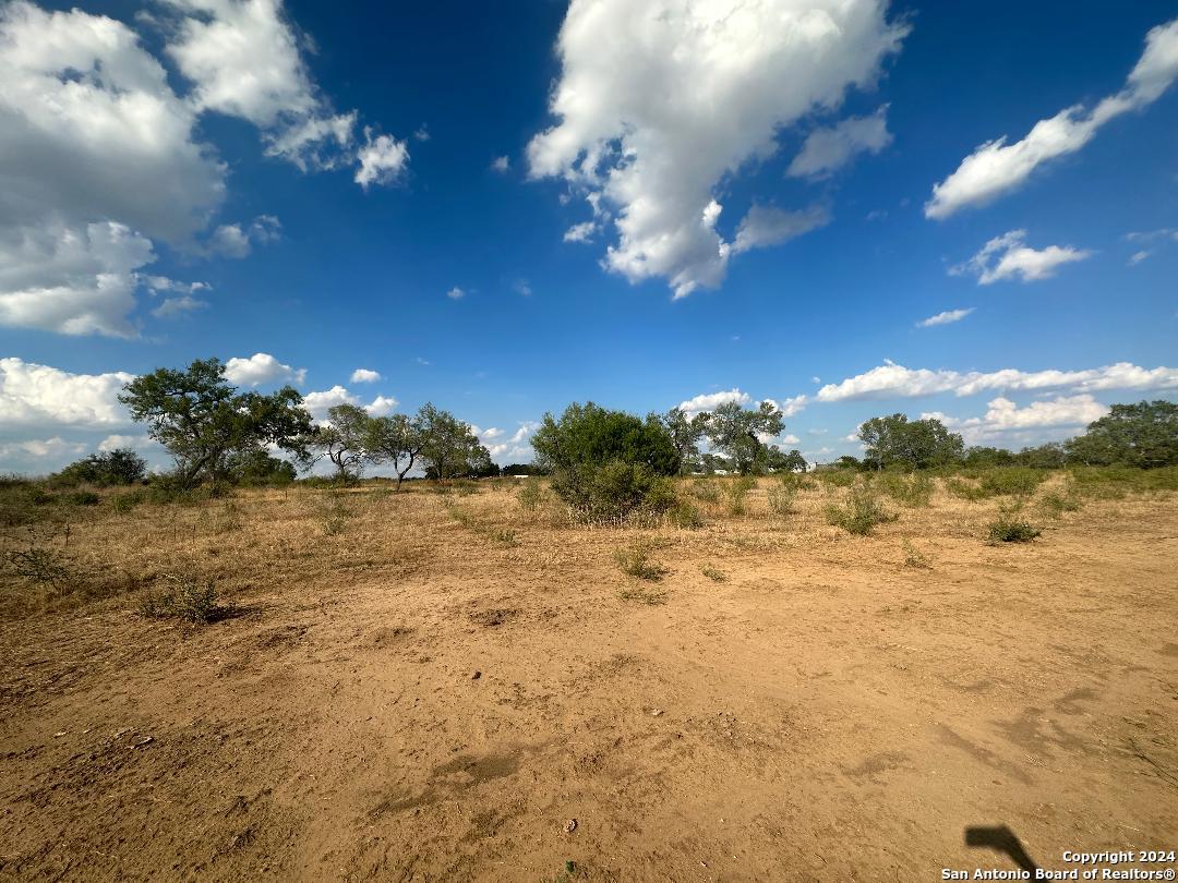 13531 Adkins-St Hedwig Road St. Hedwig, TX 78152 - Photo 24 of 31