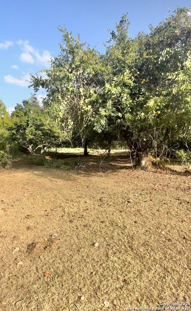 13531 Adkins-St Hedwig Road St. Hedwig, TX 78152 - Photo 26 of 31