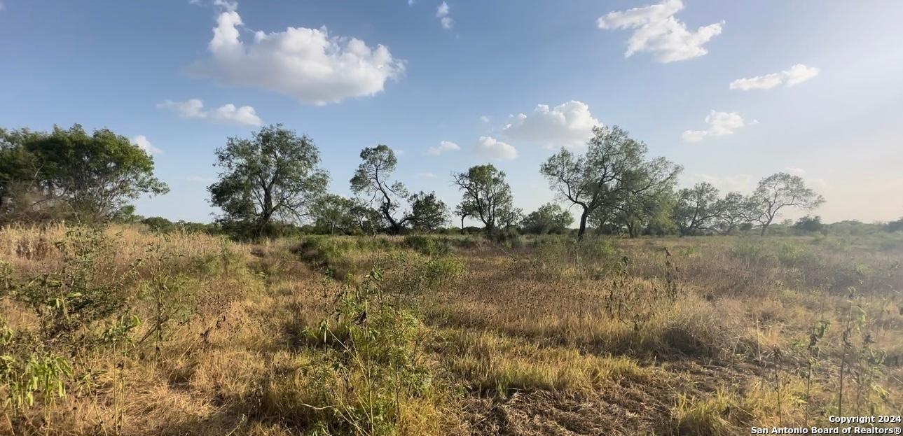 13531 Adkins-St Hedwig Road St. Hedwig, TX 78152 - Photo 28 of 31