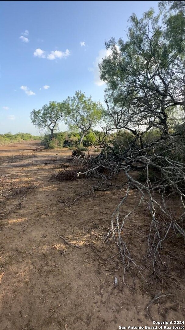 13531 Adkins-St Hedwig Road St. Hedwig, TX 78152 - Photo 30 of 31