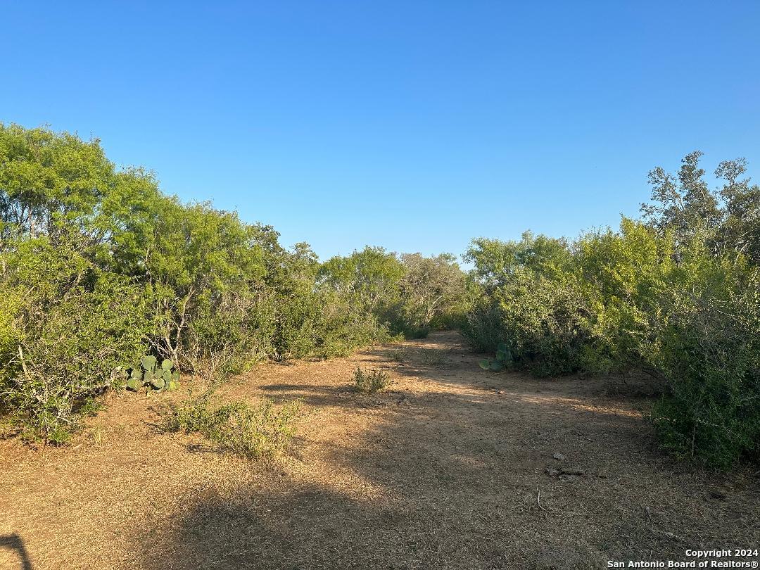 13531 Adkins-St Hedwig Road St. Hedwig, TX 78152 - Photo 4 of 31