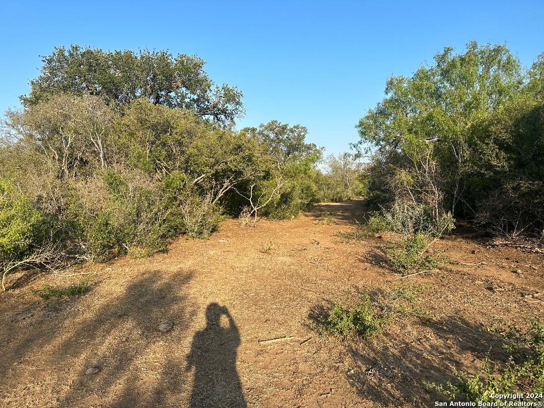 13531 Adkins-St Hedwig Road St. Hedwig, TX 78152 - Photo 5 of 31