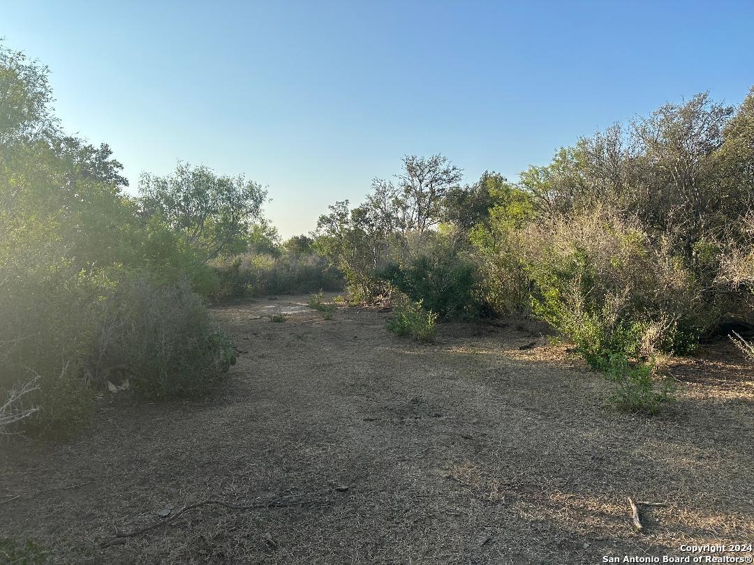 13531 Adkins-St Hedwig Road St. Hedwig, TX 78152 - Photo 6 of 31