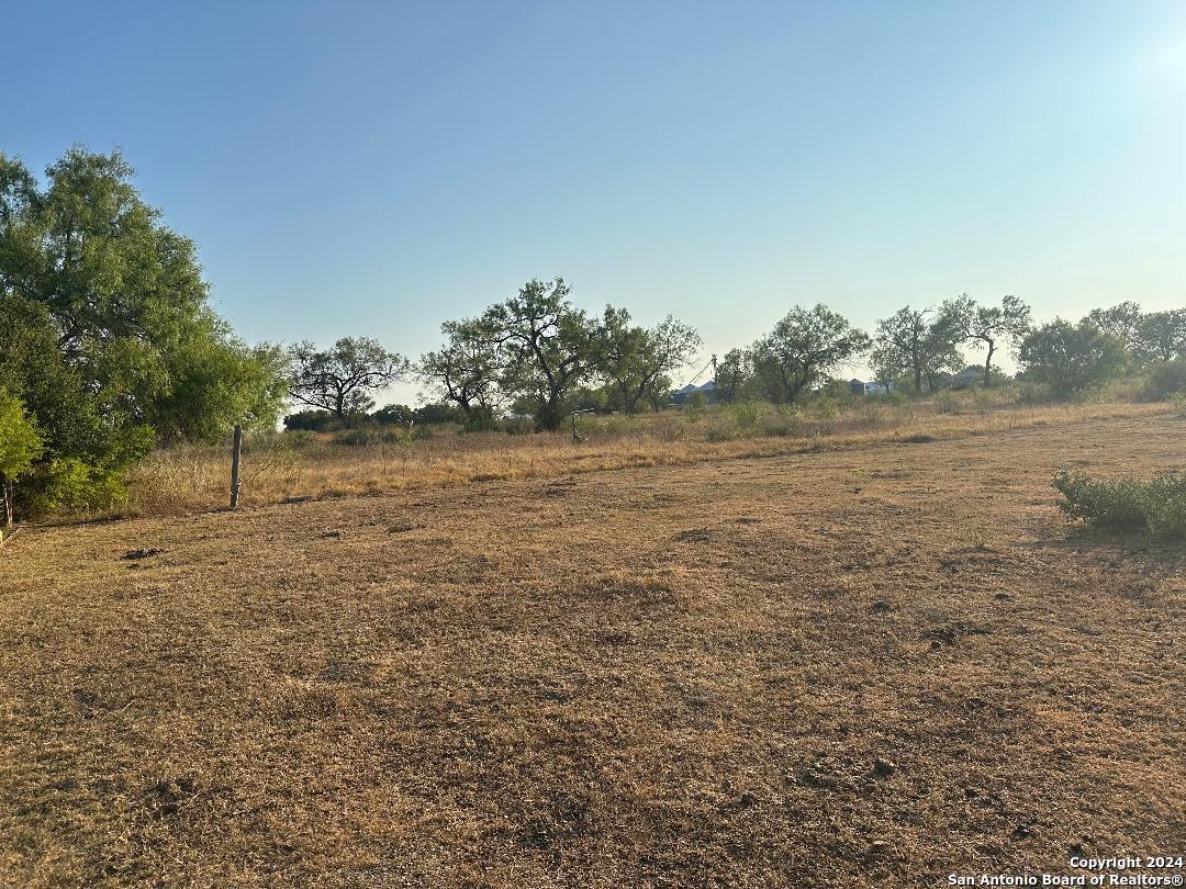 13531 Adkins-St Hedwig Road St. Hedwig, TX 78152 - Photo 10 of 31