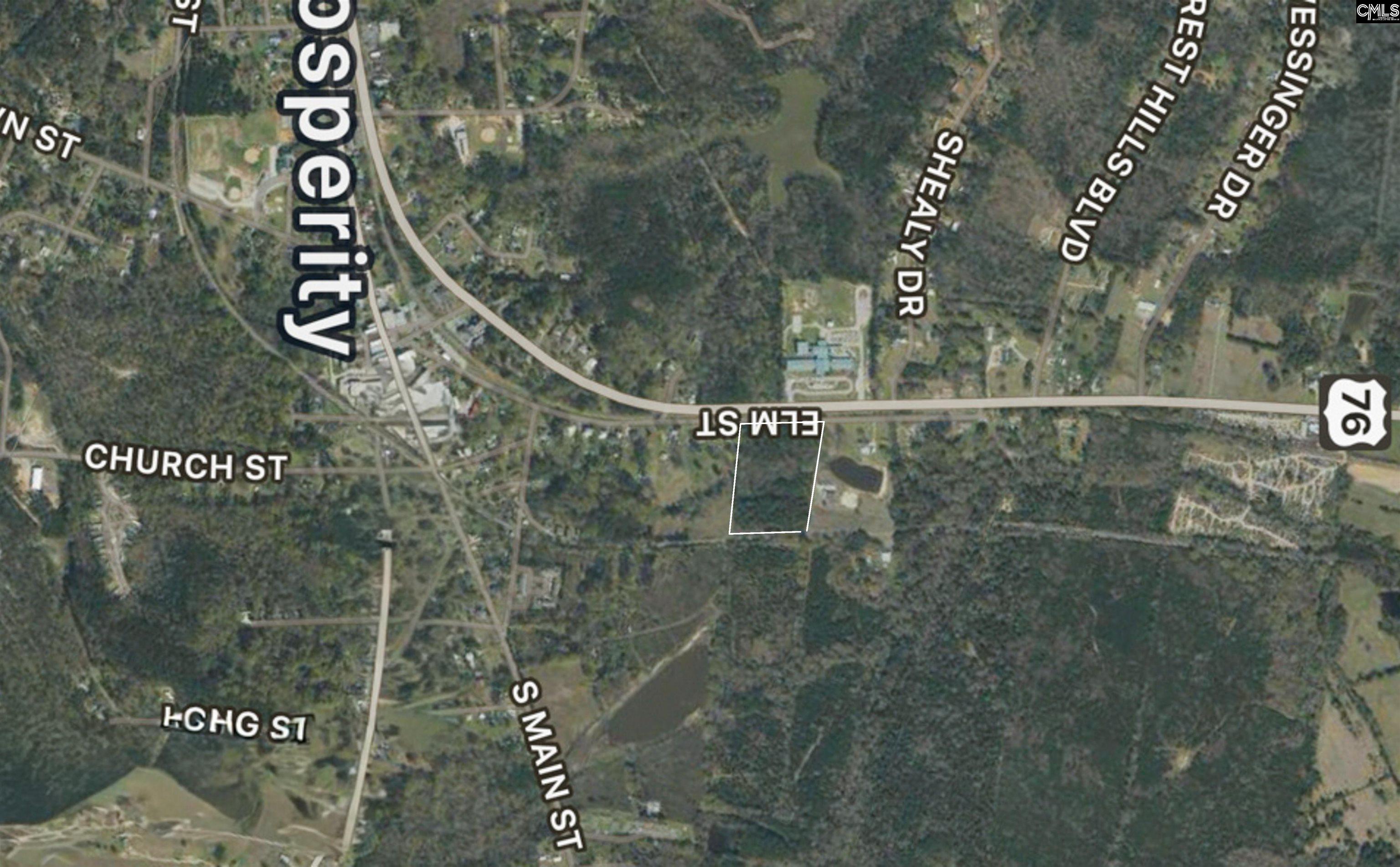 0 Elm Street Prosperity, SC 29127 - Photo 5 of 26