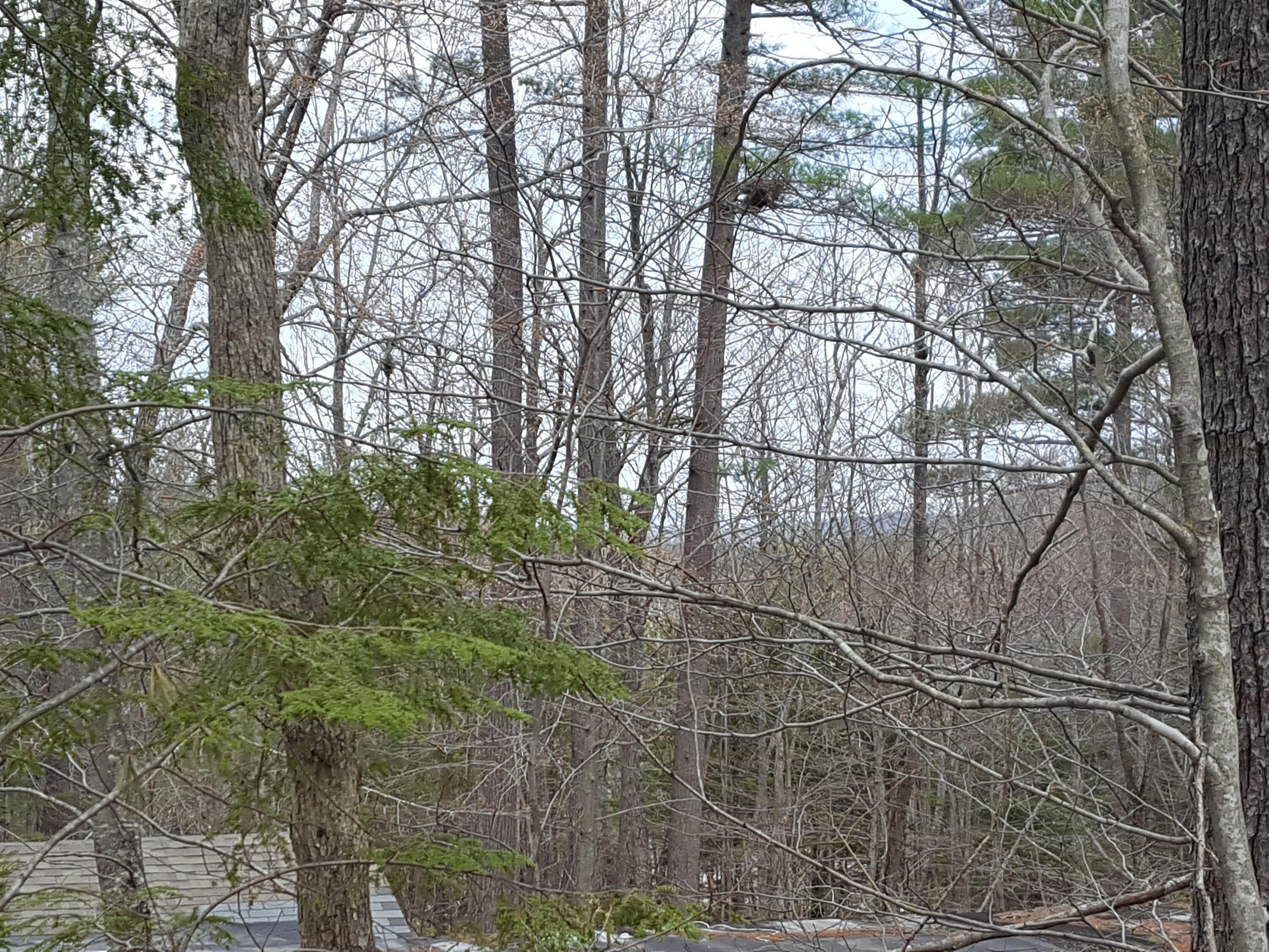 48 Higgins Hill Road Casco, ME 04015 - Photo 19 of 24 20230421_112547