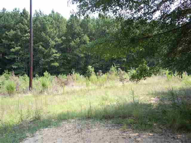 226 Houston Rice Road Seneca, SC 29678 - Photo 5 of 6 Gallery Image 5