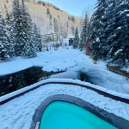 $2,925,000 | 301 South Pine Street, Unit 205, Telluride, CO 81435