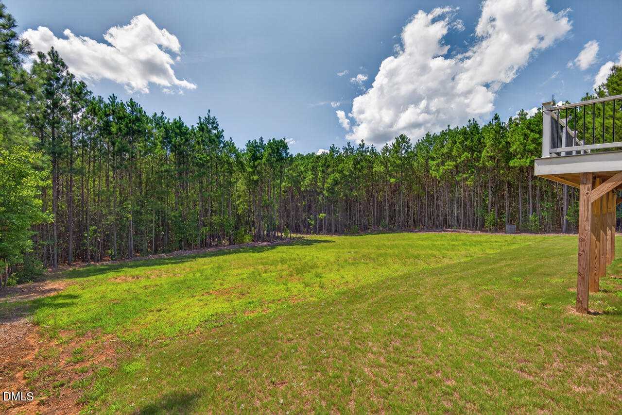 490 Terry Road Hillsborough, NC 27278 - Photo 46 of 54 28