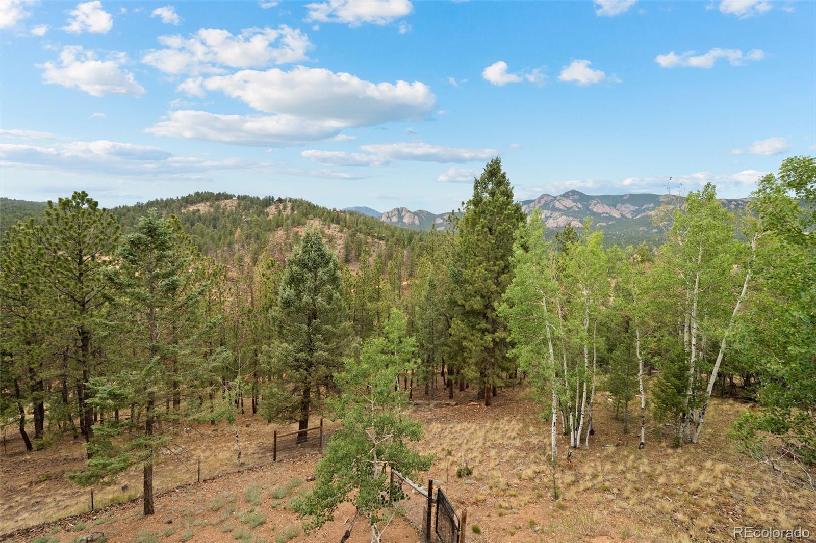 33678 Jenifer Road Pine, CO 80470 - Photo 42 of 48 Gallery Image 42