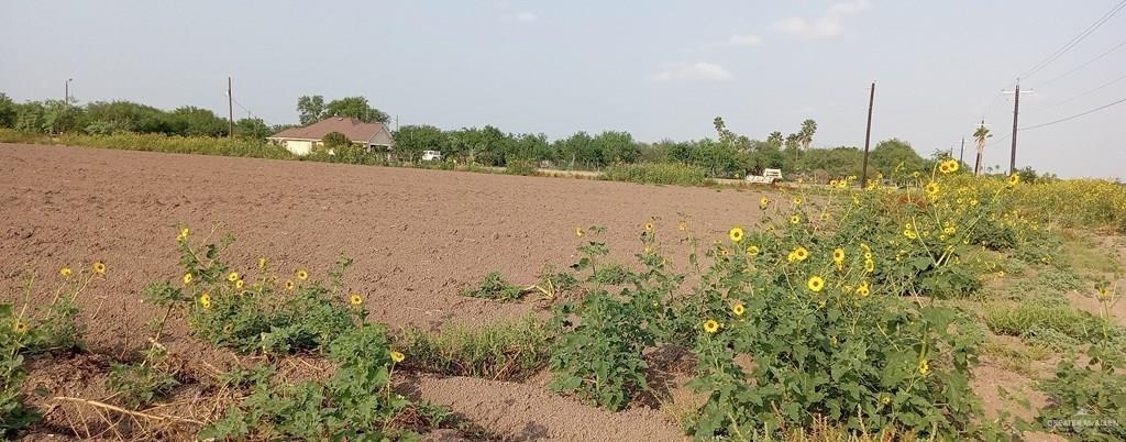 0 Mile 4 Road North Mercedes, TX 78570 - Photo 4 of 6 a view of a lake with houses in the back