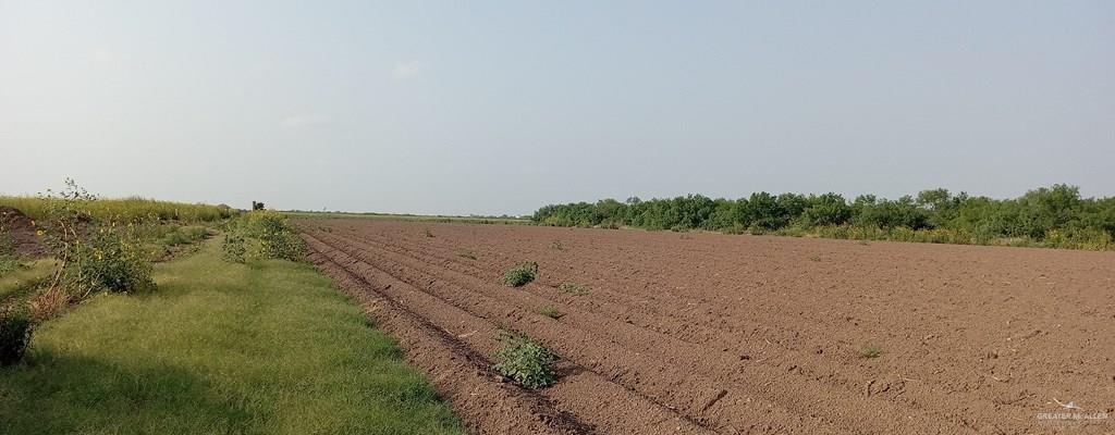 0 Mile 4 Road North Mercedes, TX 78570 - Photo 6 of 6