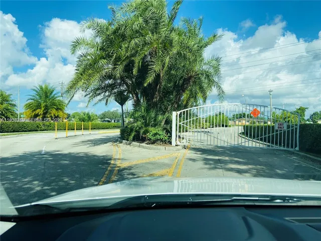 a view of a yard with large trees