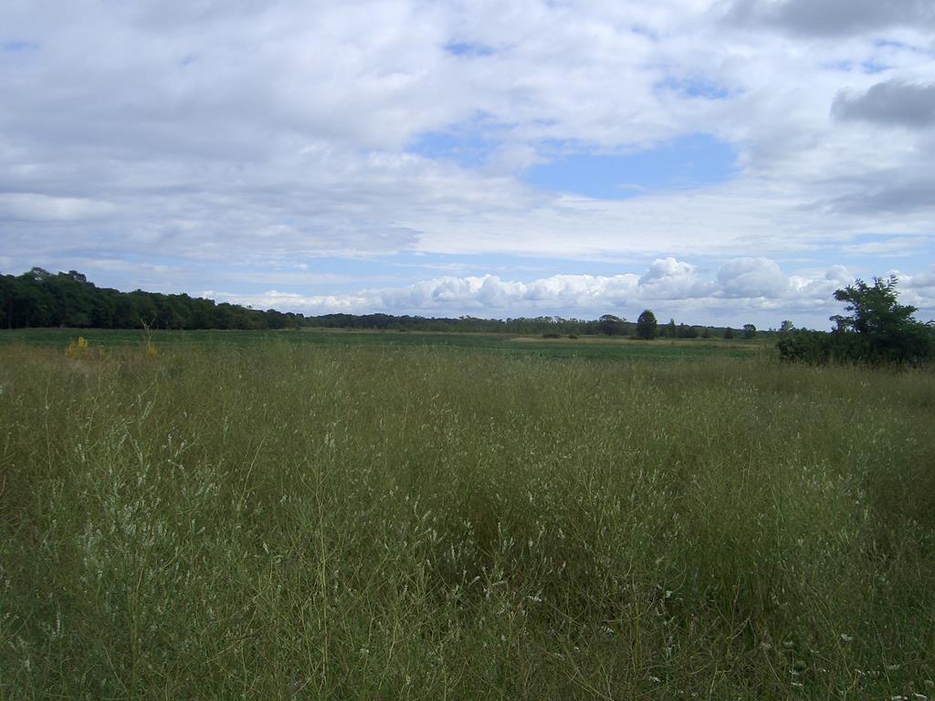 Lime Kiln Road Sturgeon Bay, WI 54235 - Photo 1 of 2