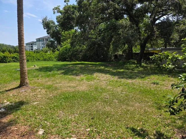 a view of a yard with a tree