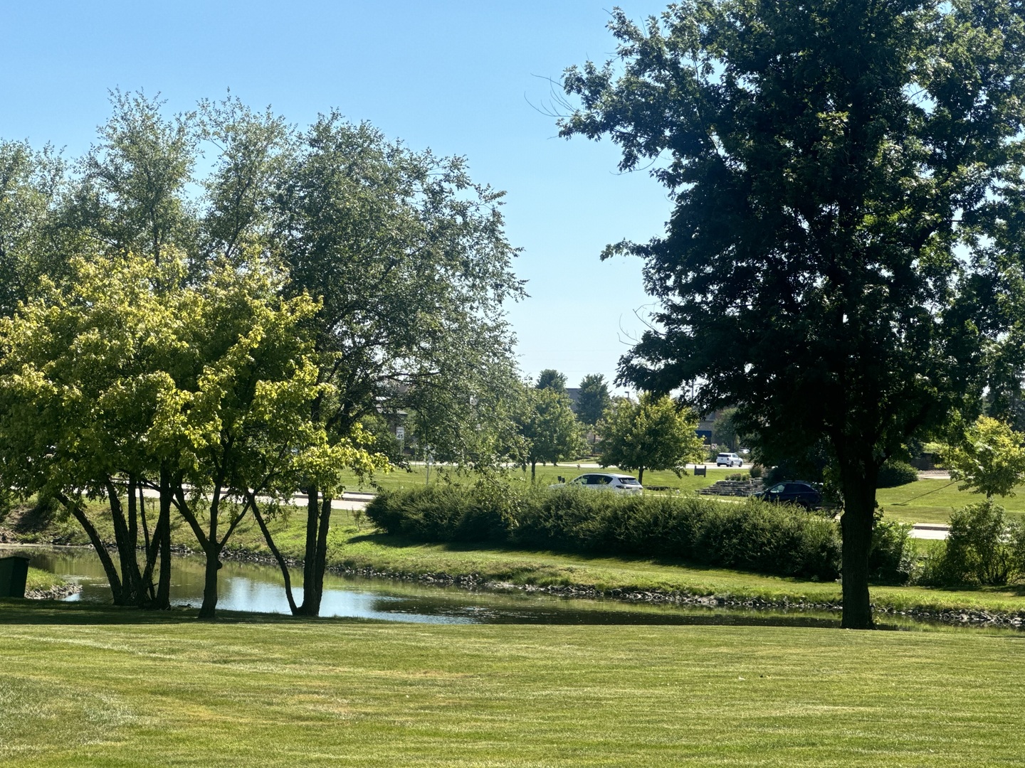 20 North Tower Road, Unit 10M Oak Brook, IL 60523 - Photo 9 of 10 Gallery Image 9