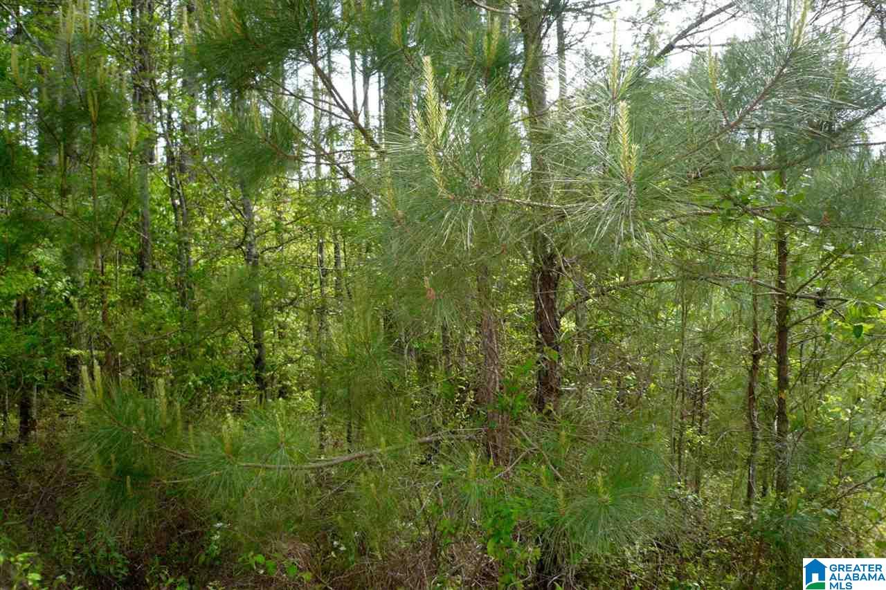 522 Woodbridge Trace, Unit 55 Chelsea, AL 35043 - Photo 9 of 22