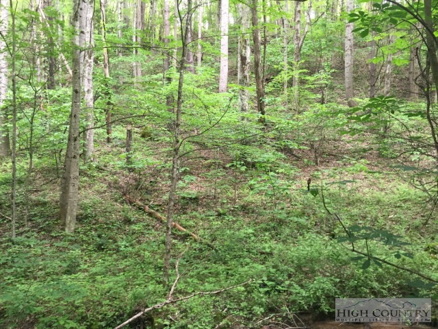 Phillips Road Elk Park, NC 28622 - Photo 16 of 23