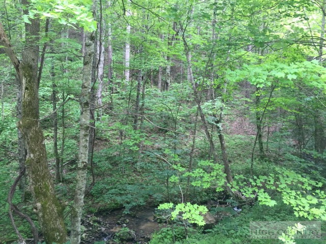 Phillips Road Elk Park, NC 28622 - Photo 18 of 23 a view of a forest with trees