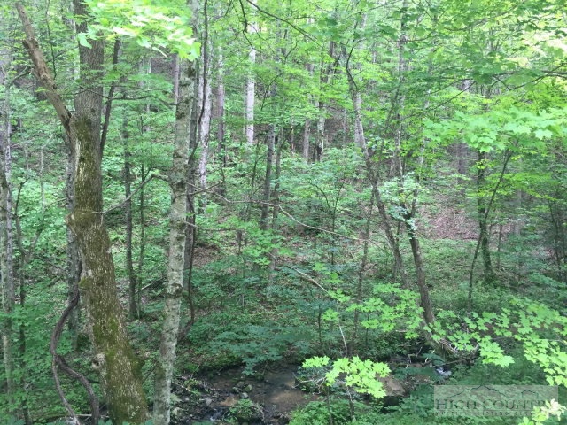 Phillips Road Elk Park, NC 28622 - Photo 19 of 23 a view of forest