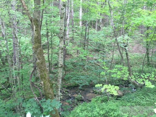 Phillips Road Elk Park, NC 28622 - Photo 21 of 23 a view of a garden