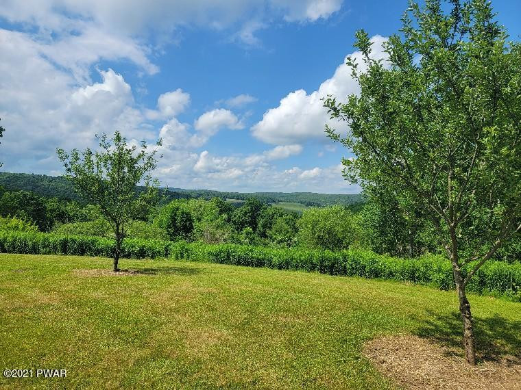 138 Bucks Road Susquehanna, PA 18847 - Photo 25 of 29 views