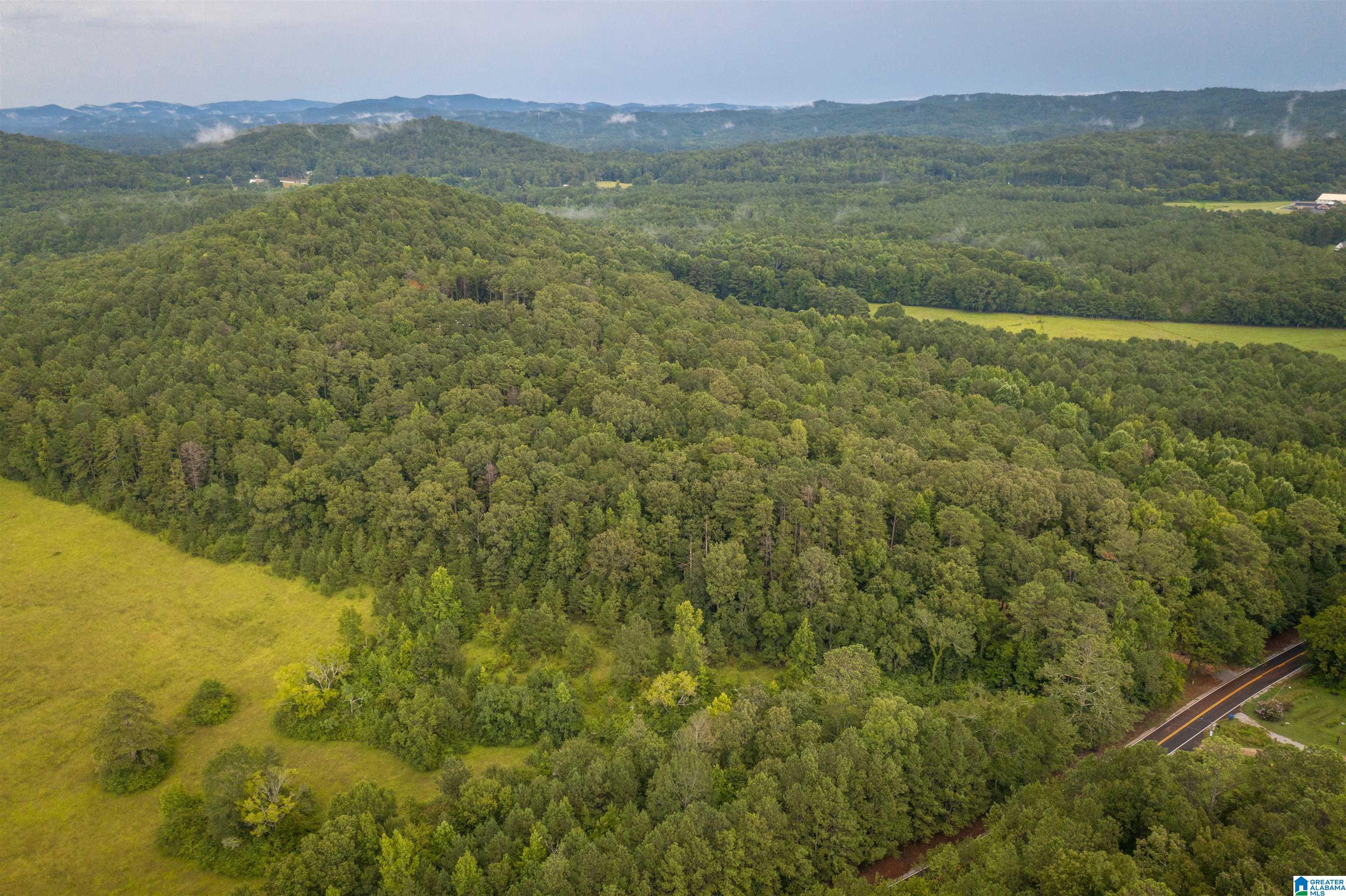 0 Iron City Cutoff Road, Unit 4 Anniston, AL 36207 - Photo 16 of 19