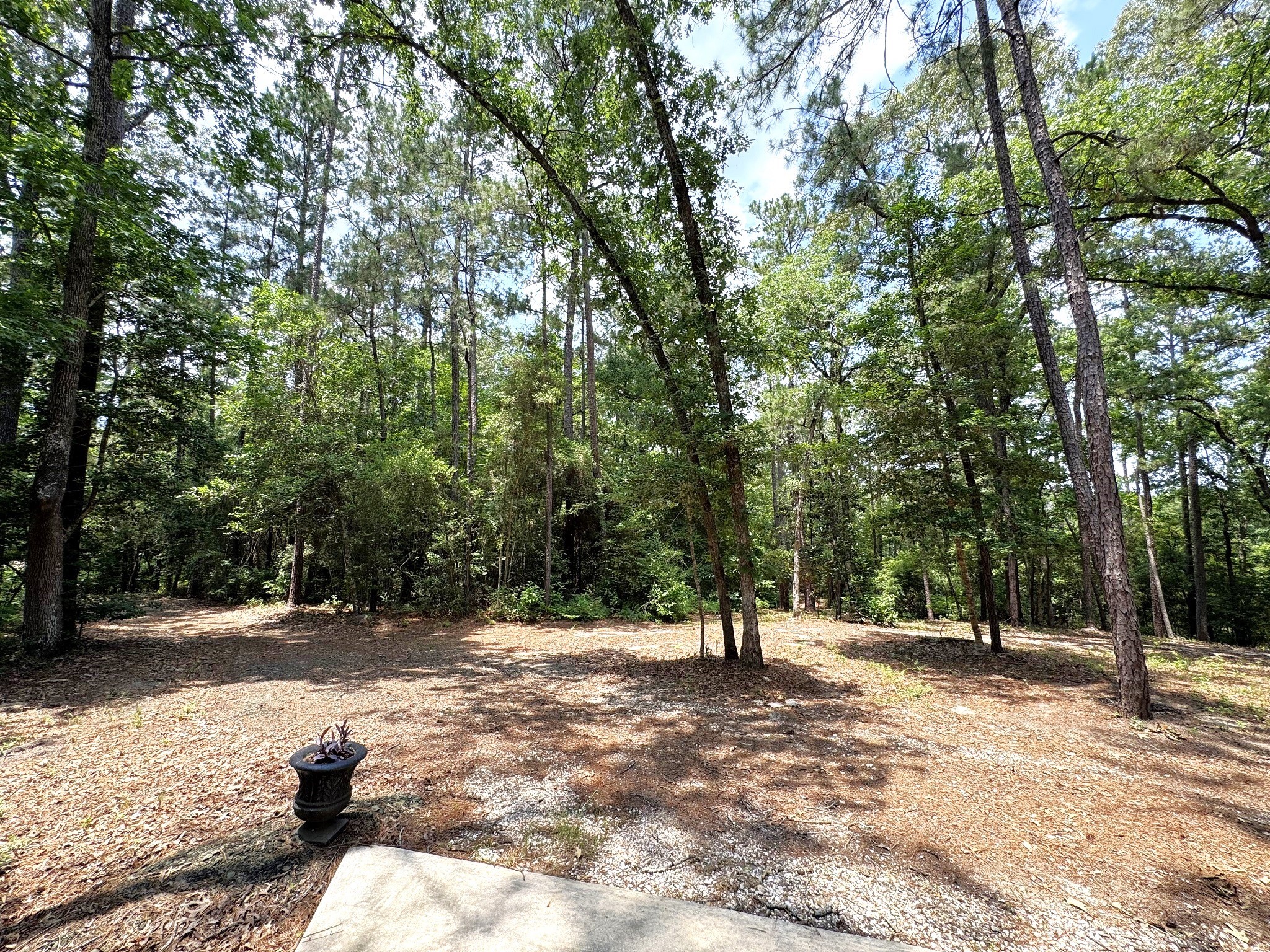 331 County Road 3240 Colmesneil, TX 75938 - Photo 28 of 50 a view of outdoor space with trees