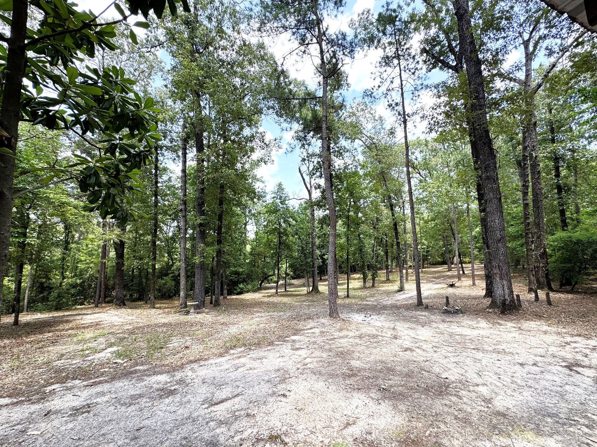 331 County Road 3240 Colmesneil, TX 75938 - Photo 30 of 50 a view of outdoor space with trees