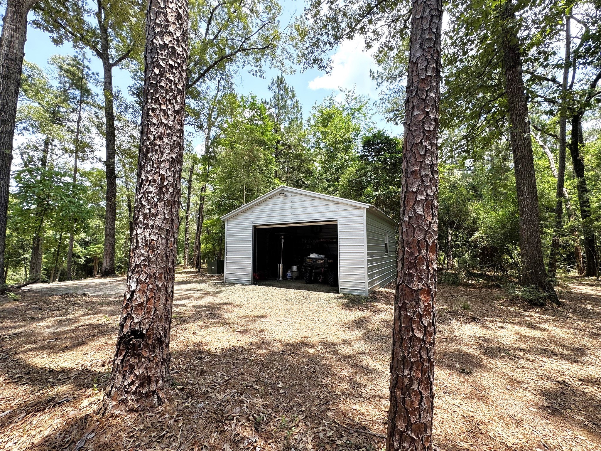 331 County Road 3240 Colmesneil, TX 75938 - Photo 31 of 50 a large tree in the middle of a forest