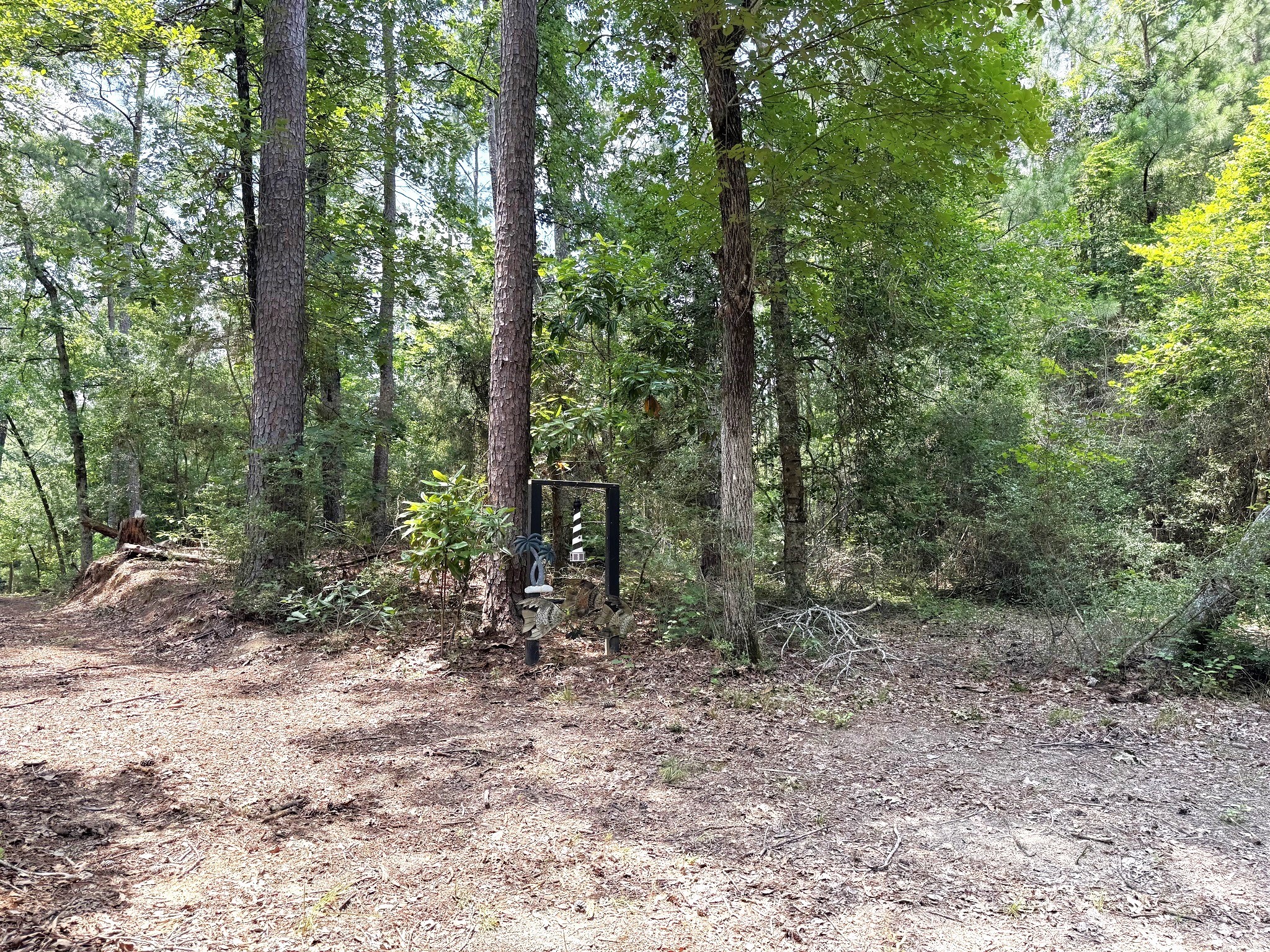 331 County Road 3240 Colmesneil, TX 75938 - Photo 36 of 50 a view of a forest with trees in the background