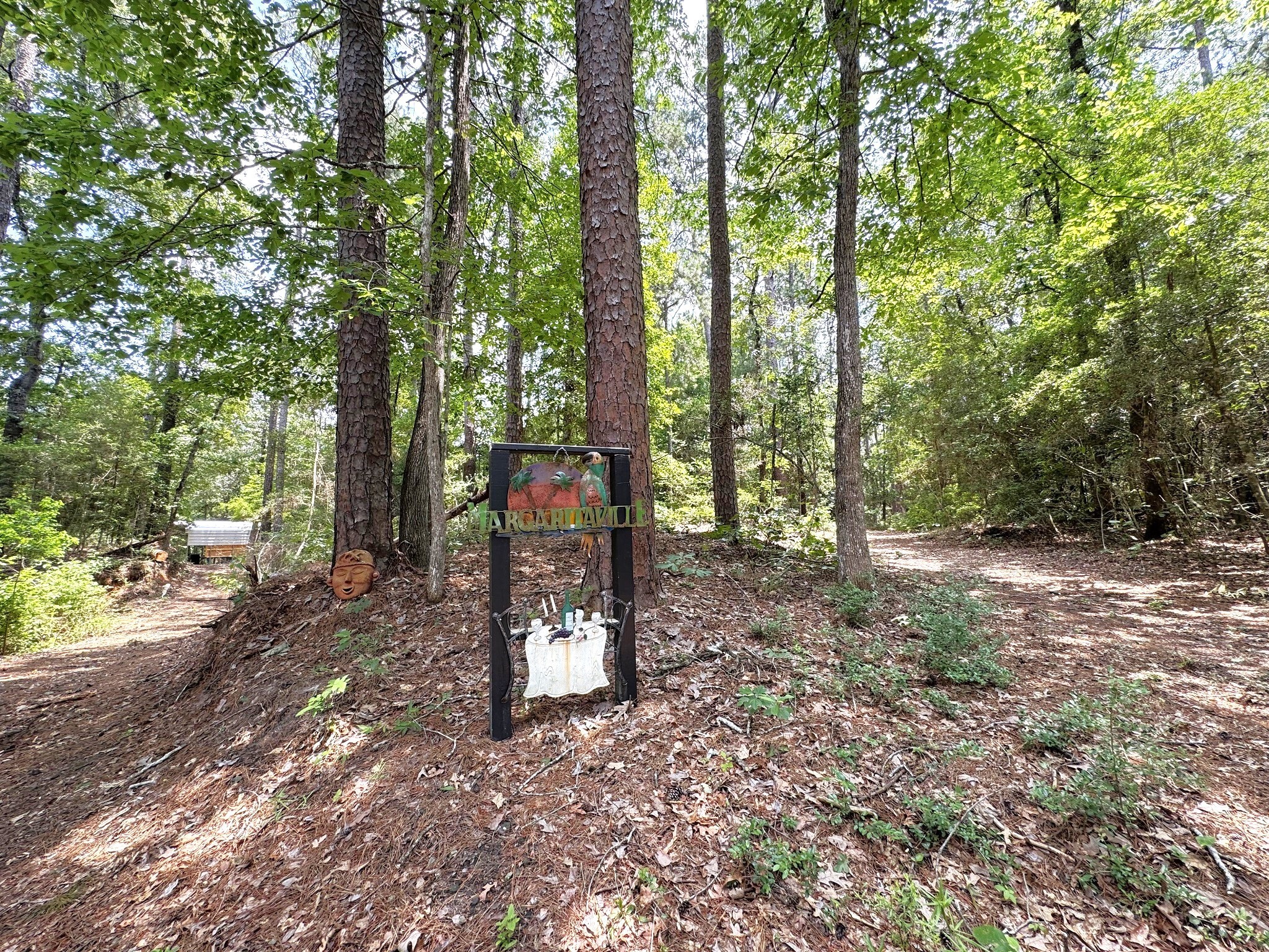 331 County Road 3240 Colmesneil, TX 75938 - Photo 37 of 50 a view of a forest with trees in the background