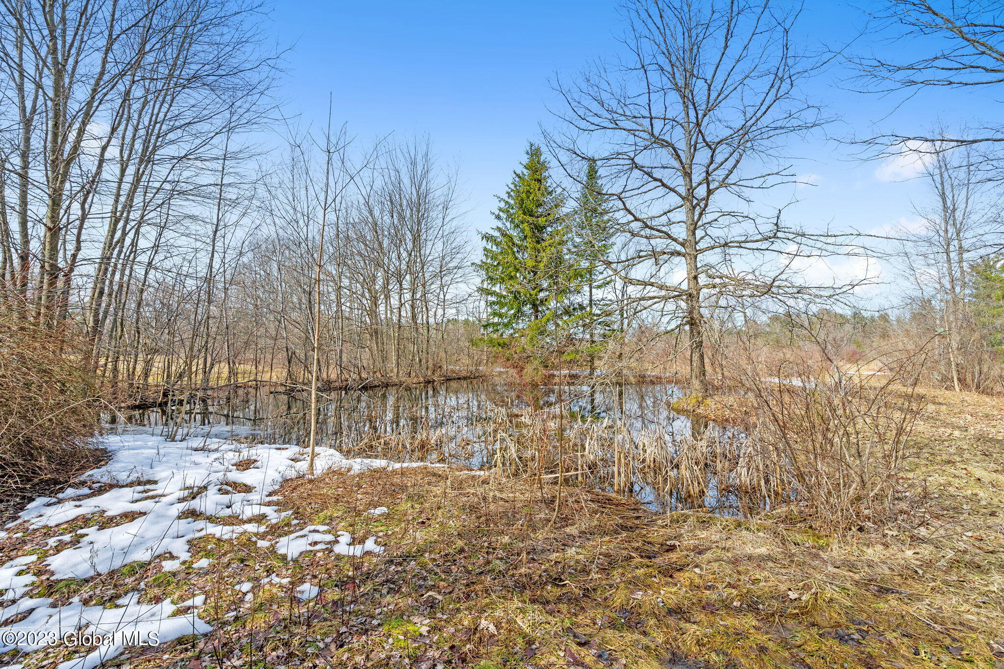 809 Grooms Road Rexford, NY 12148 - Photo 50 of 56 64-web-or-mls-809-grooms-rd