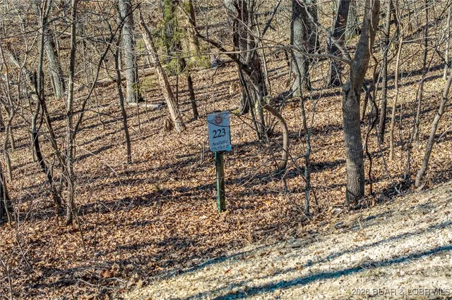 $125,000 | Lot 223-and Brookhaven Ln Villages, Sunrise Beach, MO 65079