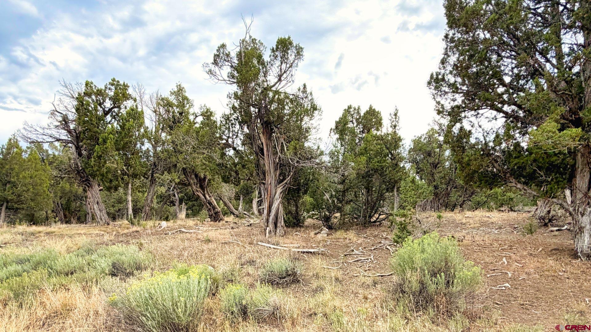 0 Road 35 Road Mancos, CO 81328 - Photo 26 of 45 Gallery Image 26